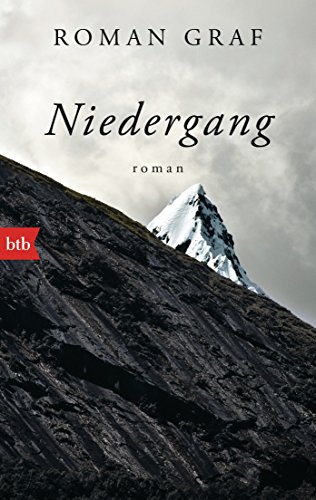 Niedergang: Roman