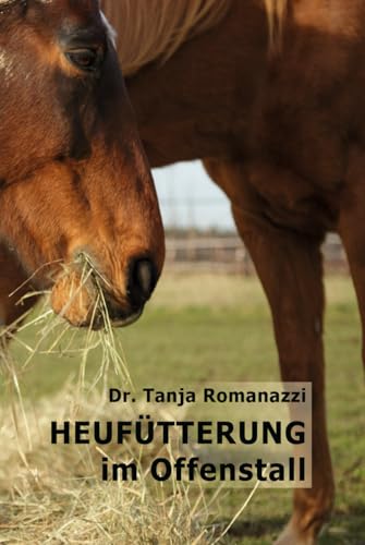 Heufütterung im Offenstall