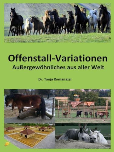 Offenstall-Variationen: Außergewöhnliches aus aller Welt von Sudden Inspiration Verlag