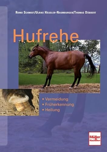 Hufrehe: Vermeidung, Früherkennung, Heilung