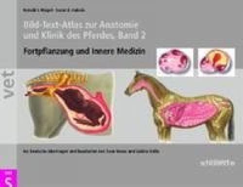 Bild-Text-Atlas zur Anatomie und Klinik des Pferdes 2: Fortpflanzung und Innere Medizin: BD 2: Fortpflanzung und Innere Medizin. Übertr. u. bearb. v. Seven Reese u. Sabine Kölle