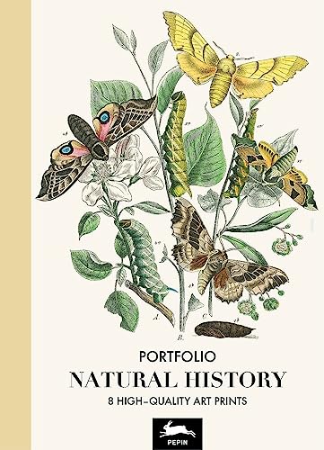 Natural History: Art Portfolio Natural History: Art Portfolio