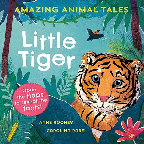 Amazing Animal Tales: Little Tiger Amazing Animal Tales: Little Tiger von Oxford University Press