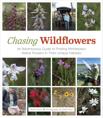 Chasing Wildflowers: An Adventurous Guide to Finding Minnesota's Native Flowers in Their Unique Habitats von University of Minnesota Press