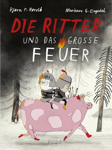 Die Ritter und das große Feuer von Picus Verlag