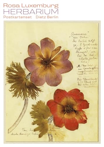 Herbarium Postkartenset: 10 Motive aus Rosa Luxemburgs Herbarium