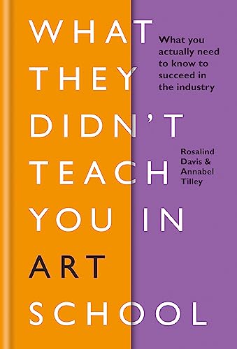 What They Didn't Teach You in Art School: What you need to know to survive as an artist (What They Didn't Teach You In School) von Ilex Press