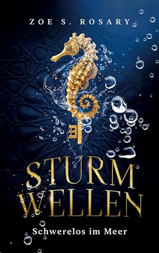 Sturmwellen: Schwerelos im Meer
