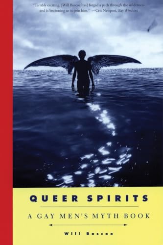 Queer Spirits: A Gay Men's Myth Book von Beacon Press
