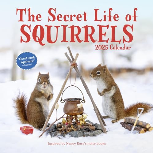 The Secret Life of Squirrels Wall Calendar 2025 von Workman Calendars
