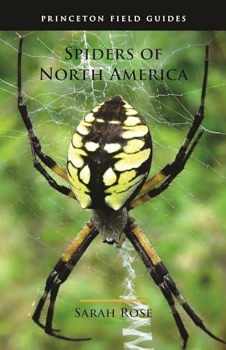 Spiders of North America (Princeton Field Guides, 126) von Princeton University Press