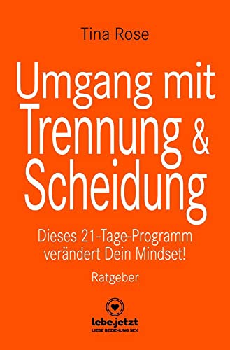 Umgang mit Trennung und Scheidung | Ratgeber: Dieses 21-Tage-Programm verändert Dein Mindset! von Blue Panther Books