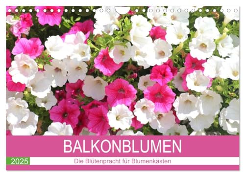 Balkonblumen. Die Blütenpracht für Blumenkästen (Wandkalender 2025 DIN A4 quer), CALVENDO Monatskalender von CALVENDO
