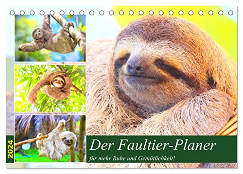 Der Faultier-Planer für mehr Ruhe und Gemütlichkeit! (Tischkalender 2024 DIN A5 quer), CALVENDO Monatskalender