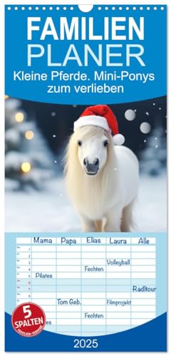 Familienplaner 2025 - Kleine Pferde. Mini-Ponys zum verlieben mit 5 Spalten (Wandkalender, 21 cm x 45 cm), CALVENDO