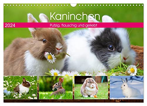 Kaninchen. Putzig, flauschig und geliebt (Wandkalender 2024 DIN A3 quer), CALVENDO Monatskalender von CALVENDO