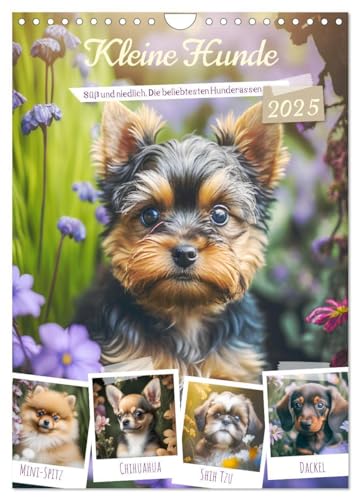 Kleine Hunde. Süß und niedlich. Die beliebtesten Hunderassen (Wandkalender 2025 DIN A4 hoch), CALVENDO Monatskalender: Die hübschesten Hündchen zum verlieben! von CALVENDO