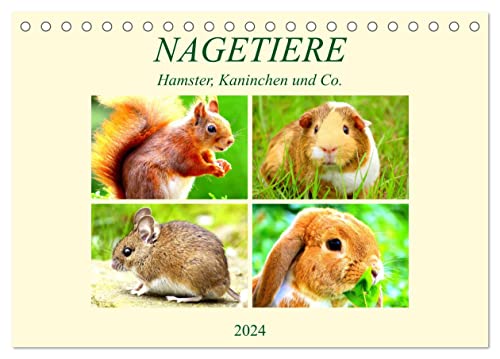 Nagetiere. Hamster, Kaninchen und Co. (Tischkalender 2024 DIN A5 quer), CALVENDO Monatskalender von CALVENDO