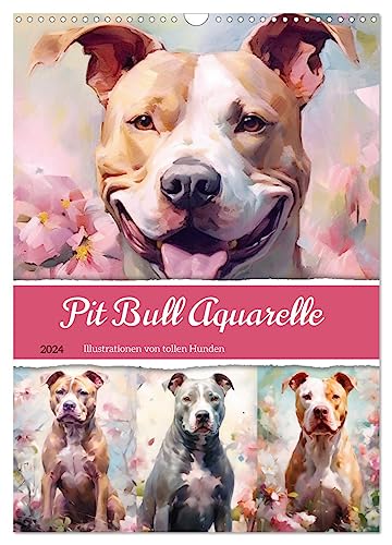 Pit Bull Aquarelle. Illustrationen von tollen Hunden (Wandkalender 2024 DIN A3 hoch), CALVENDO Monatskalender von CALVENDO