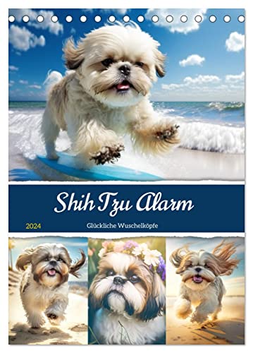Shih Tzu Alarm. Glückliche Wuschelköpfe (Tischkalender 2024 DIN A5 hoch), CALVENDO Monatskalender von CALVENDO