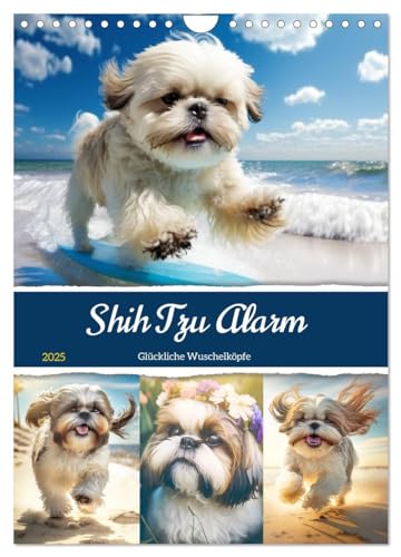 Shih Tzu Alarm. Glückliche Wuschelköpfe (Wandkalender 2025 DIN A4 hoch), CALVENDO Monatskalender von CALVENDO