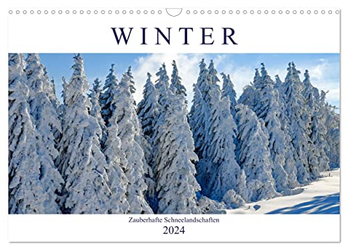 Winter. Zauberhafte Schneelandschaften (Wandkalender 2024 DIN A3 quer), CALVENDO Monatskalender
