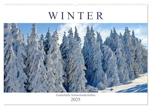 Winter. Zauberhafte Schneelandschaften (Wandkalender 2025 DIN A2 quer), CALVENDO Monatskalender von CALVENDO