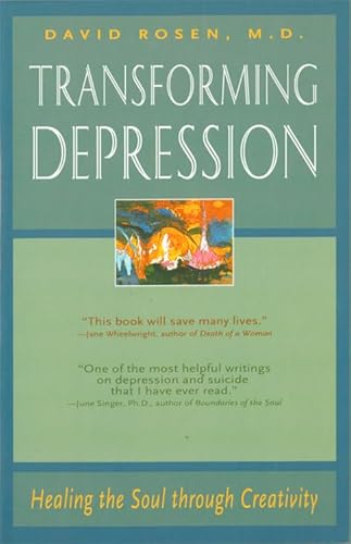 Transforming Depression: Healing the Soul Through Creativity (Jung on the Hudson Book Series) von Nicolas-Hays
