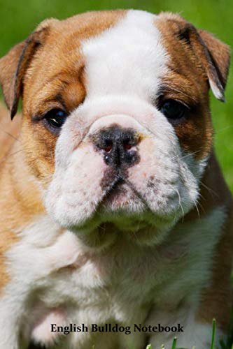 English Bulldog Notebook: Cool English Bulldog notebook - Travel Journal to write in - 120 pages - 6"x9" von Independently published