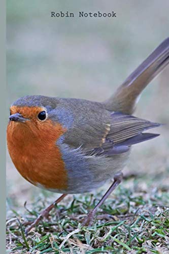 Robin Notebook: Portable lined Robin - Travel Journal to write in - 120 pages - 6"x9"