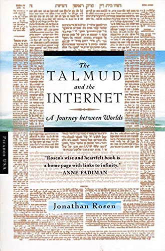 The Talmud and the Internet: A Journey Between Worlds