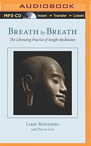 Breath by Breath: The Liberating Practice of Insight Meditation von BRILLIANCE CORP