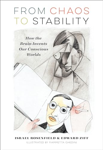 From Chaos to Stability: How the Brain Invents Our Conscious Worlds (The New Neuroscience)