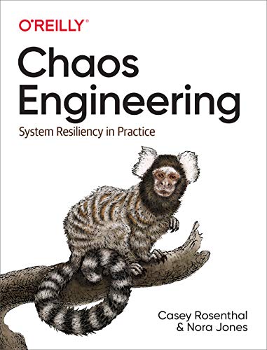 Chaos Engineering: System Resiliency in Practice von O'Reilly UK Ltd.