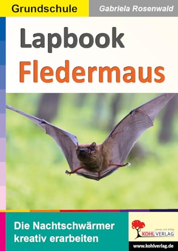 Lapbook Fledermaus: Die Nachtschwärmer kreativ erarbeiten (Lapbook Sachunterricht: Unterrichtsthemen in der Grundschule kreativ erarbeiten) von Kohl Verlag