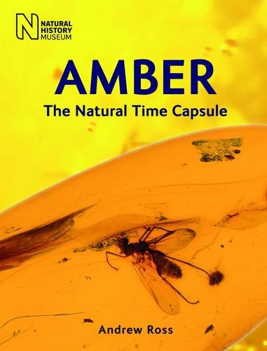 Amber: The Natural Time Capsule von NHM