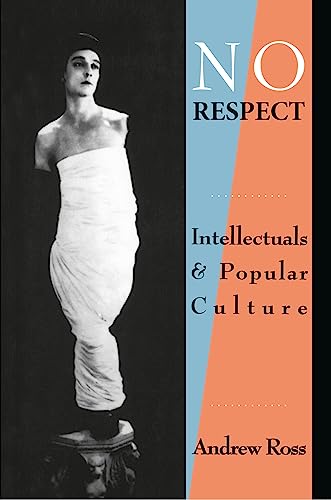 No Respect: Intellectuals and Popular Culture (Proceedings of the Lebedev Physics) von Routledge
