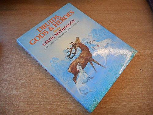 Druids, Gods and Heroes from Celtic Mythology (World mythology series)