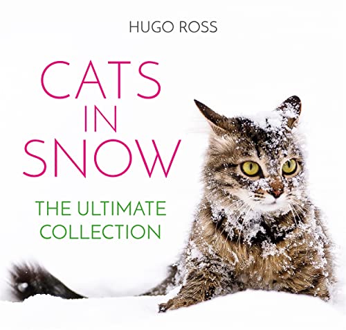 Cats in Snow: The Ultimate Collection von BLACK & WHITE PUBLISHING