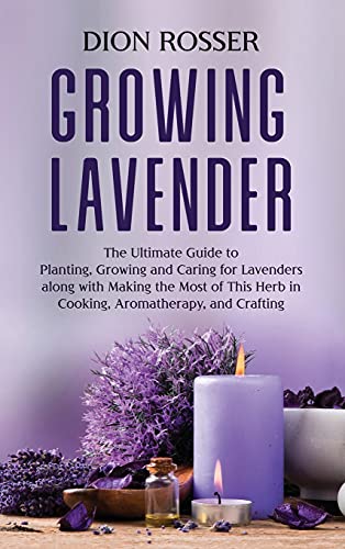 Growing Lavender: The Ultimate Guide to Planting, Growing and Caring for Lavenders along with Making the Most of This Herb in Cooking, Aromatherapy, and Crafting Growing Lavender: The Ultimate Guide to Planting, Growing and Caring for Lavenders along with Making the Most of This Herb in Cooking, Aromatherapy, and Crafting von Primasta