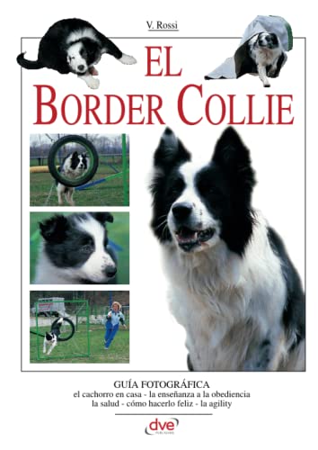 El border collie von Crossways Consulting