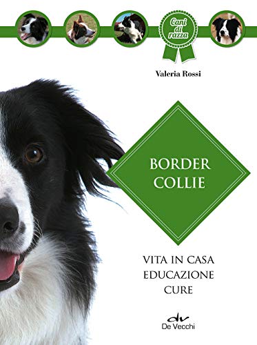 Border Collie: Vita in casa - Educazione - Cure (Cani di razza)
