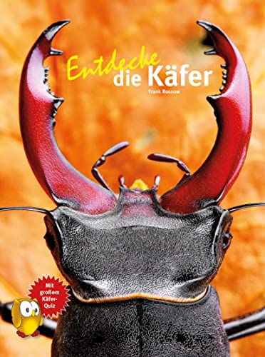 Entdecke die Käfer (Entdecke - Die Reihe mit der Eule: Kindersachbuchreihe)