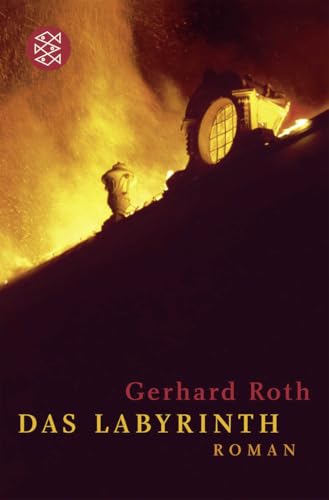 Das Labyrinth: Roman Das Labyrinth: Roman von FISCHERVERLAGE