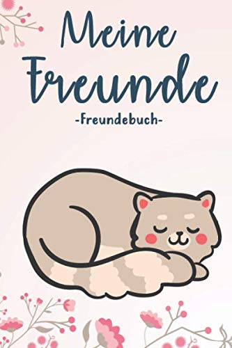 Meine Freunde Freundebuch: Mädchen Freundebuch für die Schule / Grundschule als Schulfreundebuch DIN A5