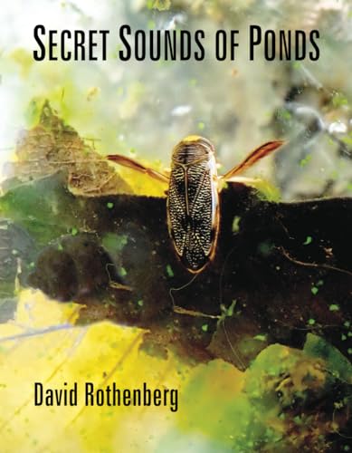 Secret Sounds of Ponds