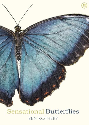Sensational Butterflies: A journey into the enchanting and vibrant world of butterflies von Ladybird