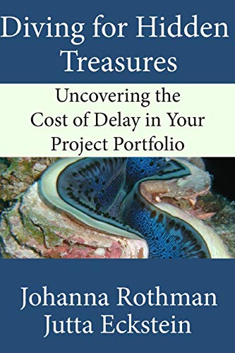 Diving for Hidden Treasures: Uncovering the Cost of Delay in Your Project Portfolio