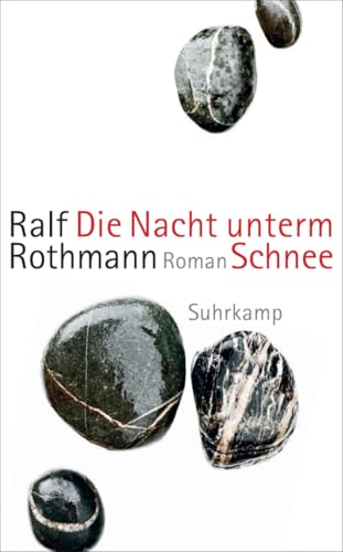 Die Nacht unterm Schnee: Roman