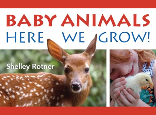 Baby Animals!: Here We Grow von Holiday House